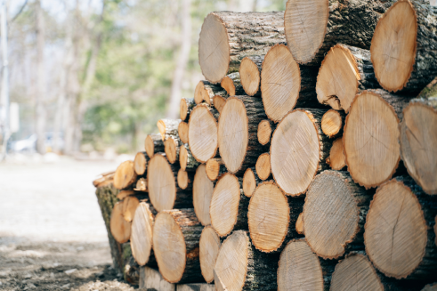 建築資材やエネルギー源としての利用